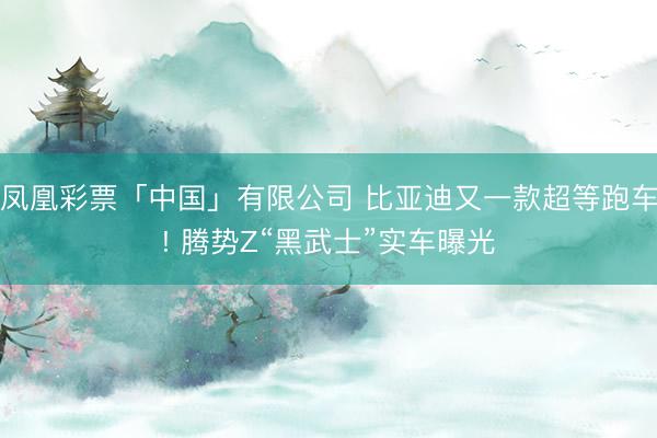 凤凰彩票「中国」有限公司 比亚迪又一款超等跑车! 腾势Z“黑武士”实车曝光