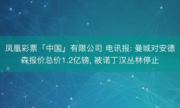 凤凰彩票「中国」有限公司 电讯报: 曼城对安德森报价总价1.2亿镑， 被诺丁汉丛林停止