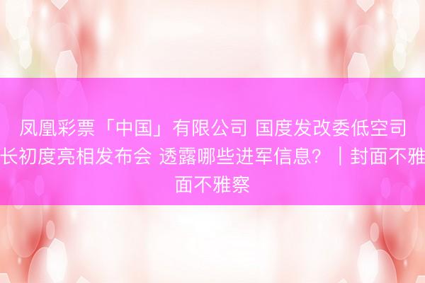 凤凰彩票「中国」有限公司 国度发改委低空司司长初度亮相发布会 透露哪些进军信息?|封面不雅察
