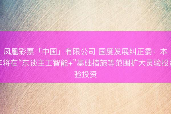凤凰彩票「中国」有限公司 国度发展纠正委：本年将在“东谈主工智能+”基础措施等范围扩大灵验投资