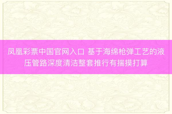 凤凰彩票中国官网入口 基于海绵枪弹工艺的液压管路深度清洁整套推行有揣摸打算