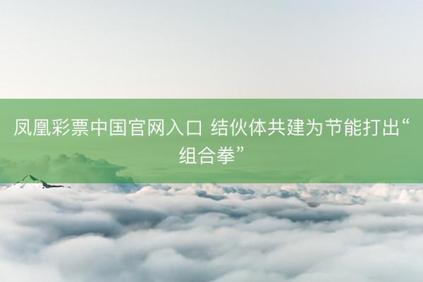 凤凰彩票中国官网入口 结伙体共建为节能打出“组合拳”